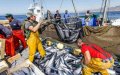 Spain-Morocco Tensions Threaten EU Fishing Agreement, Spanish Fishermen Worry