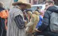 Morocco Takes Precautions as Monkeypox Spreads: Marrakech Counts Jamaa El Fna Square Monkeys