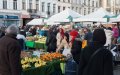 Belgium Tightens Family Reunification Laws: Income Thresholds Rise, Age Limits Increase