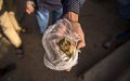 Cannabis Shortage Drives Prices to Record Highs in France
