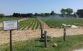 France Revolutionizes Agriculture: Massive Wastewater Recycling Project to Save Drought-Stricken Farms
