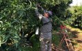 French Farms Face Labor Shortage as COVID Restrictions Limit Foreign Workers