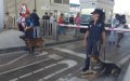 Frontex Launches Operation Minerva to Monitor Mediterranean Border Crossings
