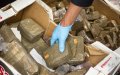 Hidden in Italian Forests: Moroccan Youth Exploited in Shocking Drug Trafficking Ring