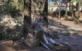 Historic Fez Café Demolished Amid Controversy Over Expansion Plans