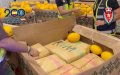 Massive Hashish Bust: Spanish-Moroccan Sting Nets 11 Tons
