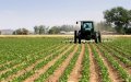 Moroccan Agriculture Exports Surge 8% Despite Pandemic and Drought Challenges