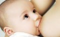 Moroccan Breastfeeding Rates Plummet, WHO Reports Health Concerns