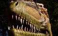 Moroccan Fossil Discovery Unveils Thriving Dinosaur Diversity Before Extinction Event