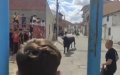 Moroccan Man Killed in Spanish Bull Run After Ignoring Safety Warnings