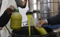 Moroccan Olive Oil Prices Remain High Despite Government Import Measures