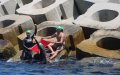 Moroccan Trio Makes History with Team Swim Across Gibraltar Strait