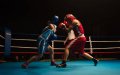 Moroccan Women Boxers Allege Sexual Harassment by National Team Coach