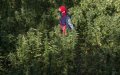 Morocco Considers Cannabis Legalization as Experts Push for Reform