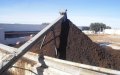 Morocco Develops Clean Fuel from Olive Oil Waste, Boosting Renewable Energy Goals
