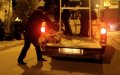 Morocco Faces Outcry Over Brutal Culling of Stray Dogs and Puppies
