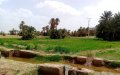 Morocco Launches Aggressive Campaign to Reclaim Usurped Public Lands from Mafia Networks