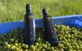 Morocco Opens Market to Brazilian Olive Oil Amid Drought-Induced Shortage