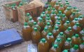Morocco Seizes 5 Tons of Adulterated Olive Oil in Food Safety Crackdown