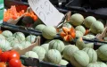 Morocco Surpasses France in Global Melon Exports, UN Data Shows