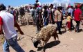 Morocco Urges Limited Travel for Eid Al-Adha Amid COVID-19 Concerns