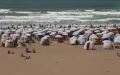 Morocco's Beach Tent Dilemma: Comfort Clashes with Conservation