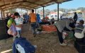 Morocco's Economy Shows Resilience Amid COVID-19, IMF Reports