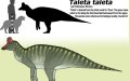 New Moroccan Dinosaur Discovery Challenges Ancient Continental Isolation Theory