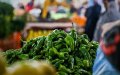 Peppers: Morocco crushes the competition in the Spanish market