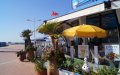 Reality TV Star's Moroccan Dream Soured: Dog Drama Ruins Romantic Dinner in Agadir