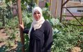 Strasbourg's Heatwave: Moroccan Immigrants Lead Cooling Strategies in Sweltering Hautepierre
