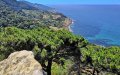 Tangier's Last Urban Forest Threatened: Luxury Resort Plan Sparks Environmental Showdown