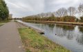 Tragic Heroism: Father Drowns Trying to Save 5-Year-Old Daughter in Belgian Canal