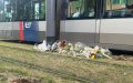 Tragic Loss: Brilliant 18-Year-Old Delivery Driver Killed in Rotterdam Tram Collision