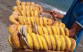 Unsanitary Doughnut Operation Busted: Tangier Beach Snacks Pose Health Threat