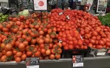 French and Moroccan Tomato Producers Sign Cooperation Agreement at Agricultural Expo