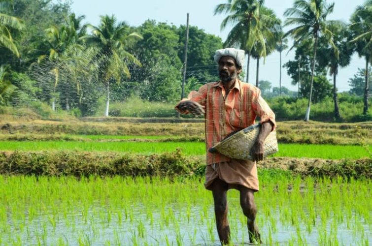 India Seeks Long-Term Fertilizer Deals with Morocco to Secure Crop Supply