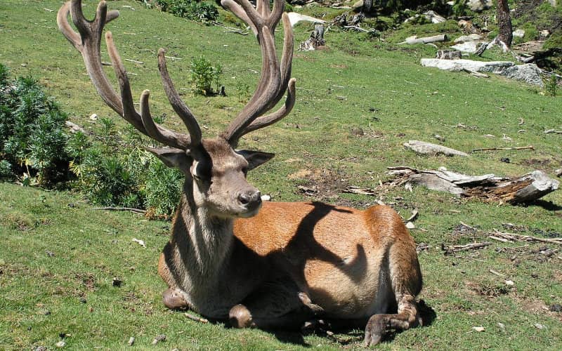 Agadir Plans 132-Hectare Animal and Recreation Park to Boost Tourism
