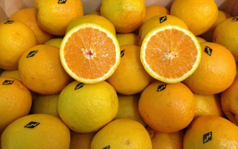 Agricultural Exports Surge Amid Pandemic: Clementines and Vegetables Lead Growth