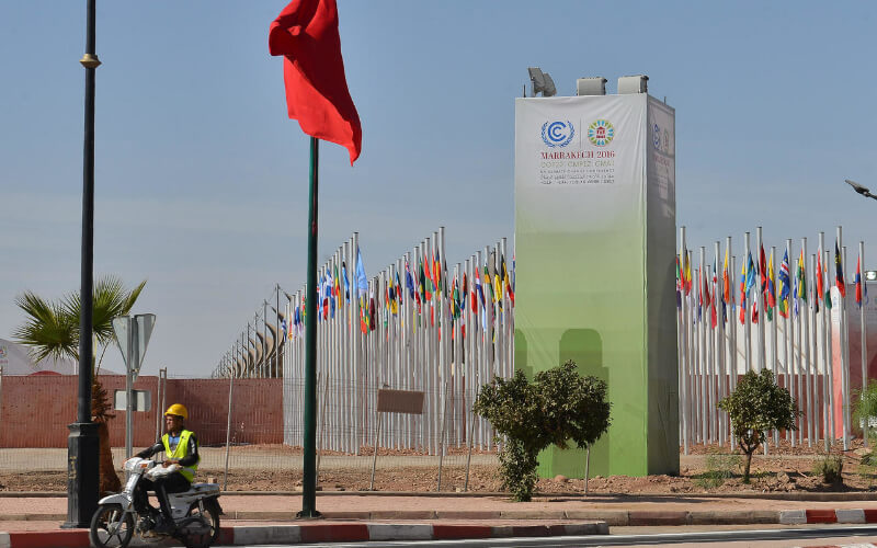 UN Ambassadors from Morocco and France Urge Climate Action Amid Pandemic