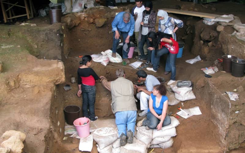 Ancient Bone Tool Discovery in Morocco Reveals Early Human Clothing Production