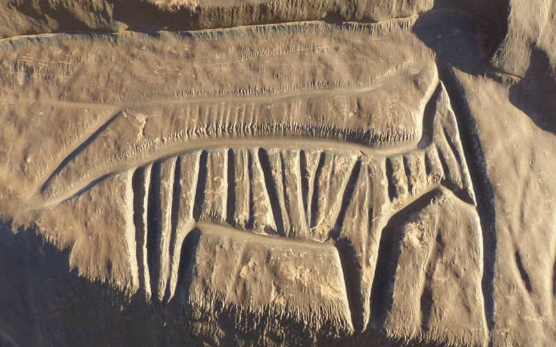 Ancient Rock Art in Morocco's Guelmim Region Faces Threat of Destruction