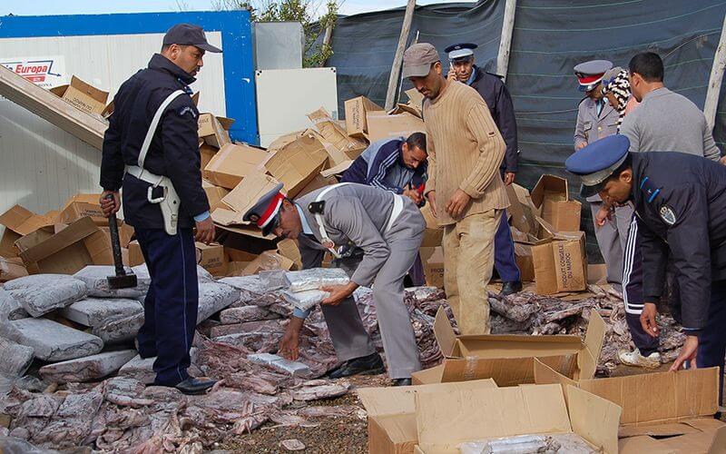 Massive Drug Bust in Morocco: 12.8 Tons of Cannabis Seized Near Nador