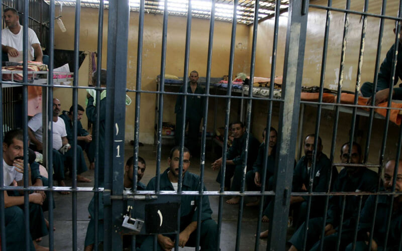 Moroccan Ex-Fighters in Syria Seek Amnesty for Return Home