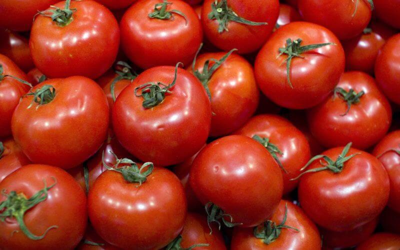 Russia Bans Moroccan Tomato Imports Over Virus Concerns