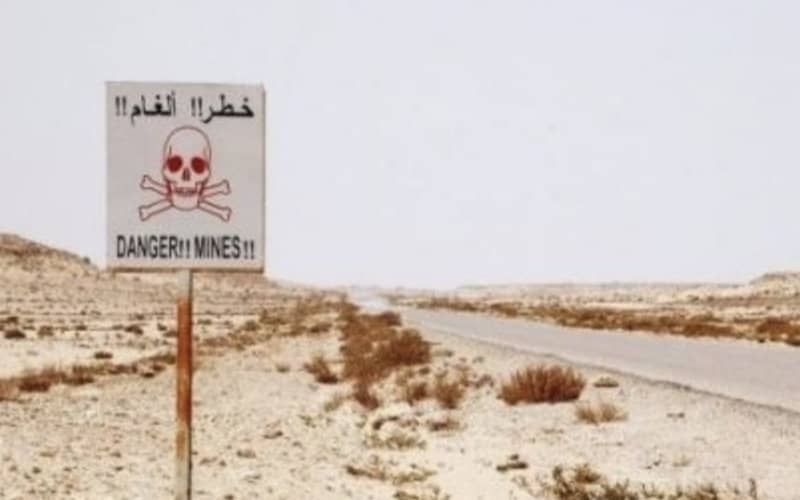 Moroccan Diplomat: 813 Killed by Landmines in Western Sahara Conflict
