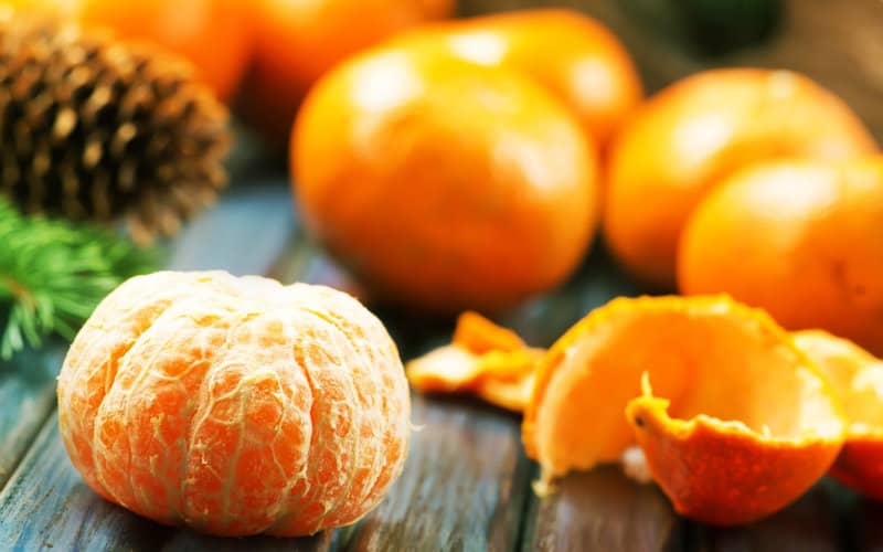 Spanish Farmers Demand EU Ban on Moroccan Produce Amid Price Concerns
