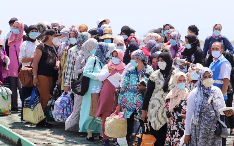 Moroccan Strawberry Pickers Protest Travel Ban, Demand Access to Spanish Farms