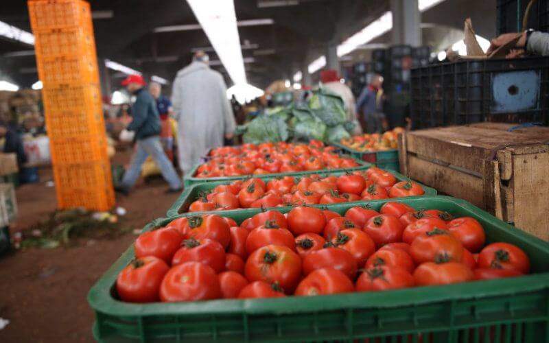 Far-Right Vox Party Urges EU to Impose 'Green Tariff' on Moroccan Imports