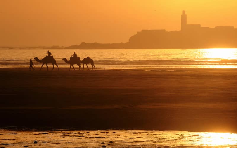 Heat Wave Alert: Morocco Braces for Temperatures Nearing 50°C in Multiple Provinces